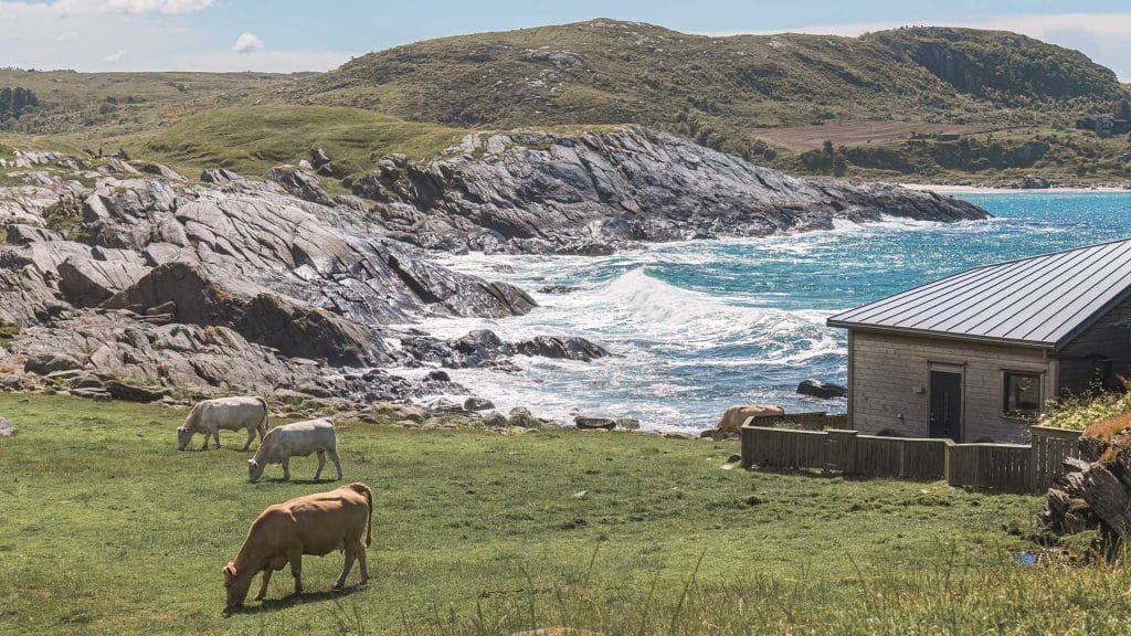 مزایا و معایب مهاجرت به نیوزلند